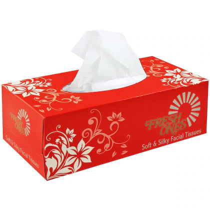 Fresh Ones Soft & Silky 2 Ply Facial Tissue 100 pcs